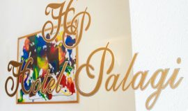 Hotel a Pietrasanta, Hotel Palagi