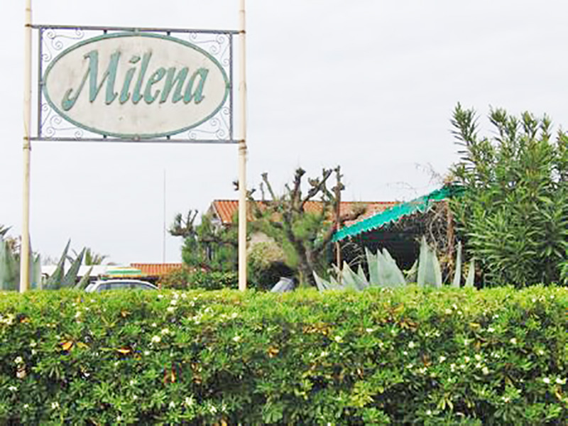spiagge a Marina di Pietrasanta, Bagno Milena