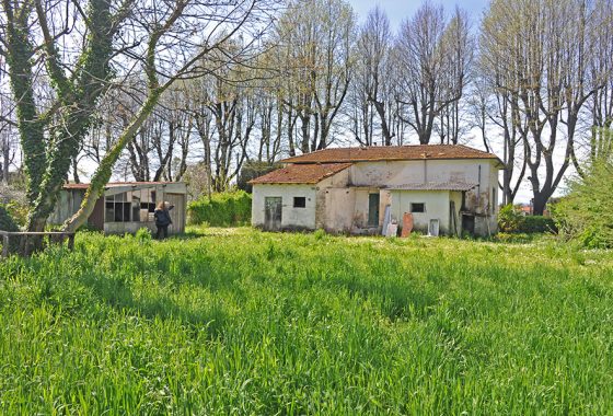 Casa nella campagna di Pietrasanta