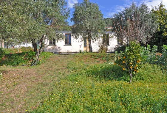 Case in versilia, villetta vista mare in versilia