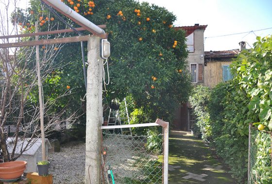 casa in campagna, terratetto in vendita nella campagna di Seravezza Cod 1616
