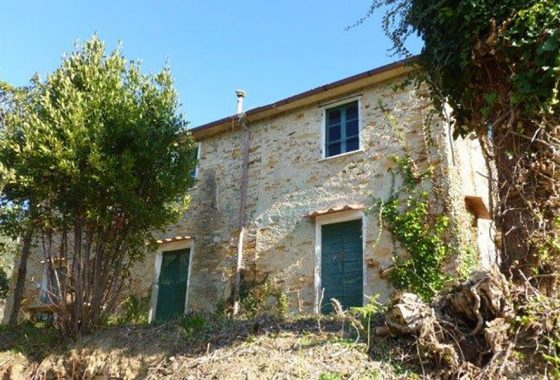 Colline vista mare - Rustico da ristrutturare sulla collina alle spalle di Forte dei Marmi